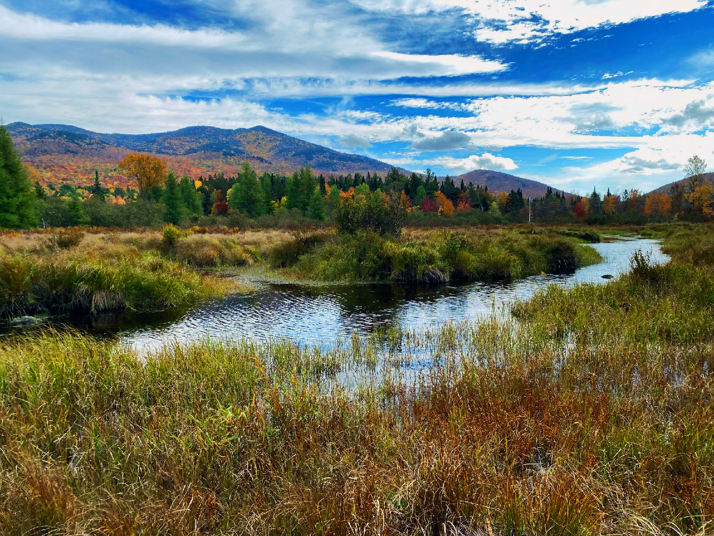 100 acre wetland